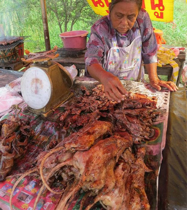 Daging Tikus di Thailand: Tradisi Kuliner Unik yang Kontroversial