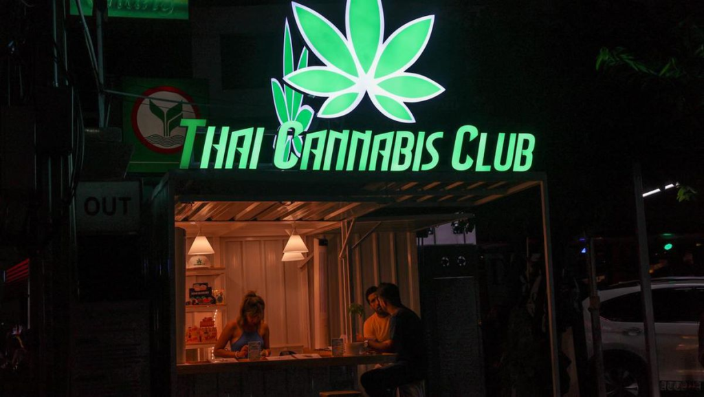 Kebebasan Memakai Ganja di Thailand: Antara Regulasi dan Kehidupan Sosial