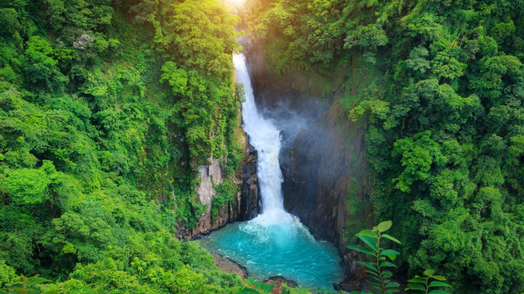 Wisata Hutan Hujan Khao Yai: Flora, Fauna, dan Air Terjun